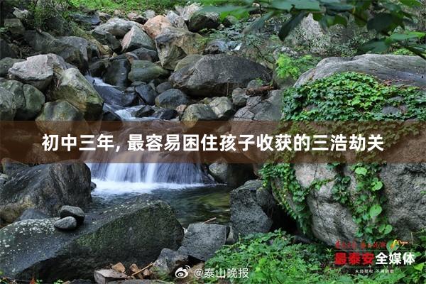 初中三年, 最容易困住孩子收获的三浩劫关