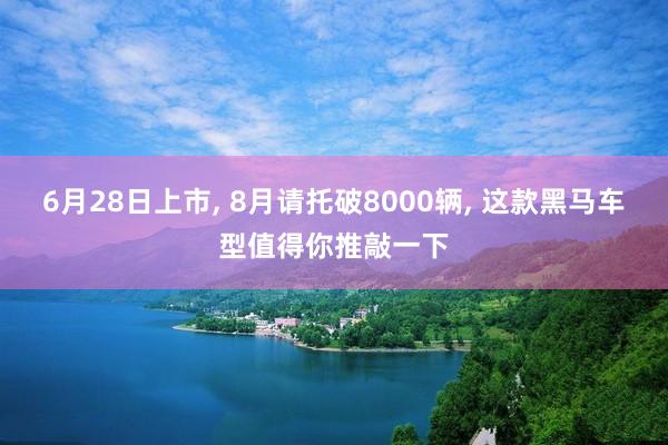 6月28日上市, 8月请托破8000辆, 这款黑马车型值得你推敲一下