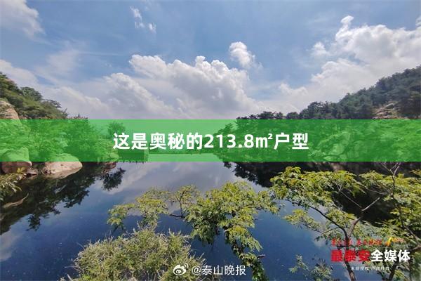 这是奥秘的213.8㎡户型
